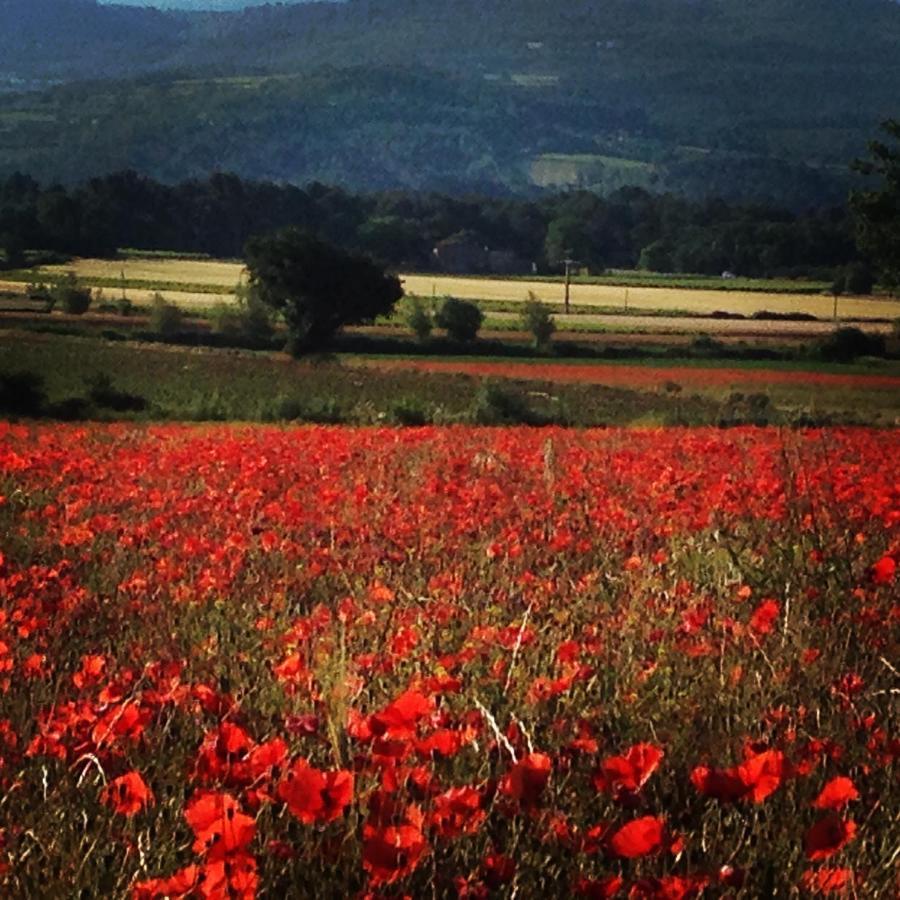 Le Mas De La Glycine Roussillon en Isere Eksteriør billede